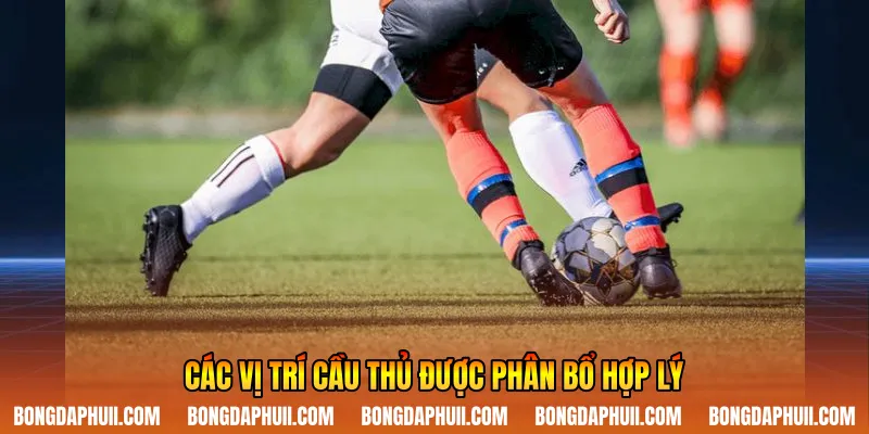 Các vị trí cầu thủ được phân bổ hợp lý