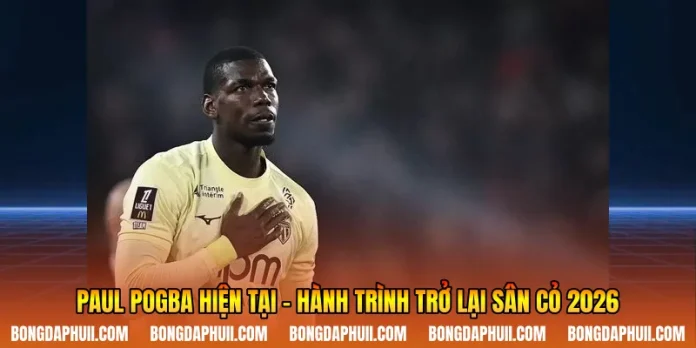 Paul Pogba Hiện Tại - Hành Trình Trở Lại Sân Cỏ 2026
