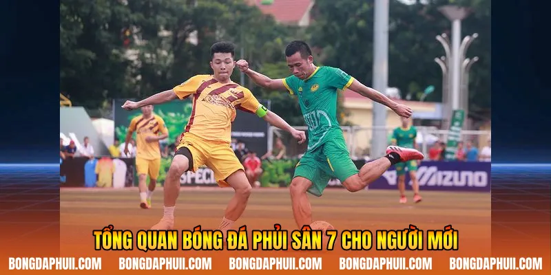 Tổng quan bóng đá phủi sân 7 cho người mới